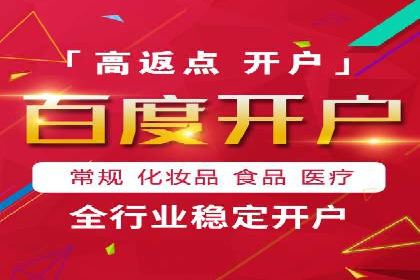 百度推广全攻略：成功案例剖析