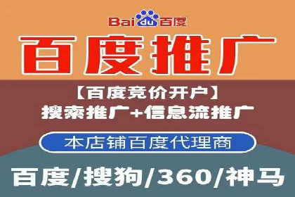 如何在有限预算下最大化百度推广费用的效果——案例解读